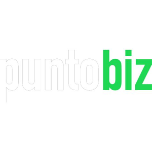 Puntobiz.com.ar